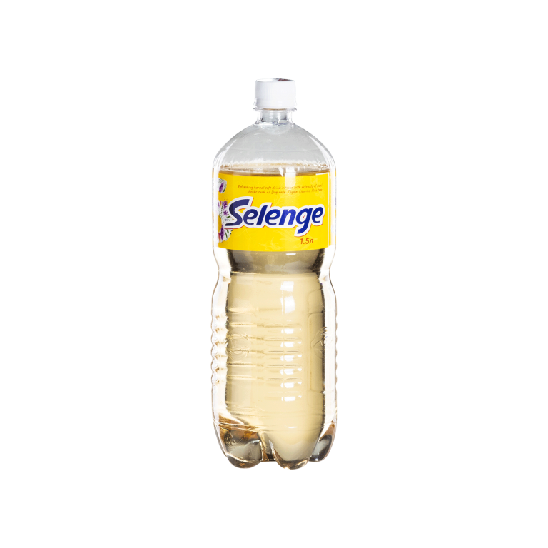 Selenge - APU Company