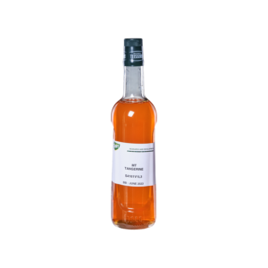 Mathieu Teisseire Mandarin Syrup - Britvic